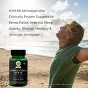 ashwagandha-ksm66-tocotrienols-flaxseed--71J7kXLMWcL.jpg