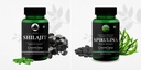 shilajit-spirulina-wellness-daily-vitali-5197udB-F7L.jpg