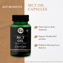 l-carnitine-1-mct-oil-vegan-shilajit-dai-61PfQs0T2sL.jpg