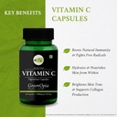 l-carnitine-1-milk-thistle-vitamin-c-dai-61kPS7HYnhL.jpg
