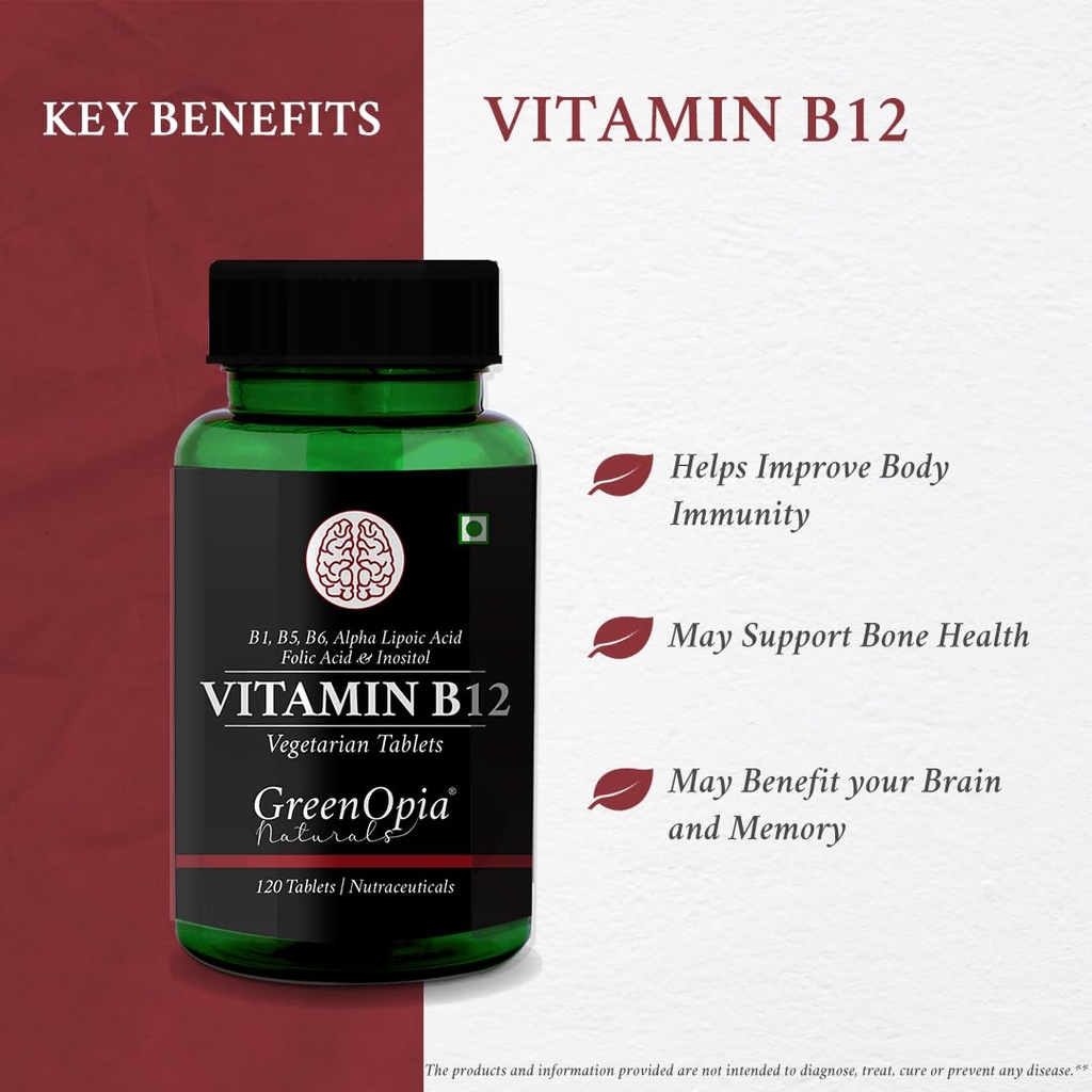 l-carnitine-1-lactobacillus-vitamin-b12--61MZnPa3USL.jpg