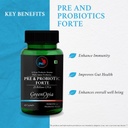 l-carnitine-1-lactobacillus-pre-and-prob-61hKZS4HILL.jpg