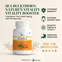 sea-buckthorn-capsule-pure-500mg-herbal--71FF8v1TM0L.jpg
