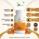 sea-buckthorn-capsule-pure-500mg-herbal--81O8BJkpjgL.jpg