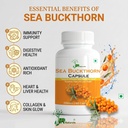 sea-buckthorn-capsule-pure-500mg-herbal--71wwXXGpqPL.jpg
