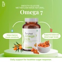 omega-3679-omega-7-prevents-blood-sugar--61B0w3mqMSL.jpg