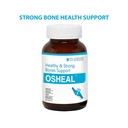 osheal-tablets-for-healthy-and-strong-bo-61pIBPDjBnL.jpg