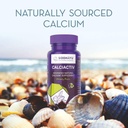siddhayu-calciactiv-natural-calcium-supp-61Hi+dYa2DS.jpg