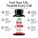 chelated-iron-bisglycinate-supplement-21-71DbDnxbLNL.jpg