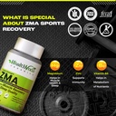 health-veda-organics-zma-for-men-zinc-ma-91LkiuPFT+L.jpg