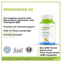 haleup-99-spermidine-trihydrochloride-wi-71IOomseOSL.jpg