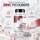oxin-nutrition-zinc-picolinate-50-mg-hig-71UobPy6UCL.jpg