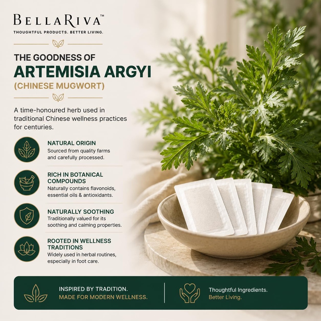 detox-foot-pads-with-powerful-artemisia--71+Ix7k2SOL.jpg