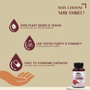 plant-based-liver-capsule-100-ayurvedic--71VhlsKwiTL.jpg