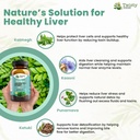 livara-herbal-supplement-for-liver-healt-81MUTy7nn0L.jpg