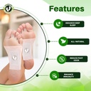 ultra-premium-detox-foot-patches-cleansi-715uANKOWmL.jpg