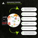 testarise-men-s-vitality-supplement-natu-81kGfYuafcL.jpg