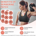 ridoy-glp-1-patches-for-appetite-craving-71WlzytKyAL.jpg