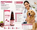 peptomino-syrup-amino-acids-vitamins-wit-71edataR79L.jpg