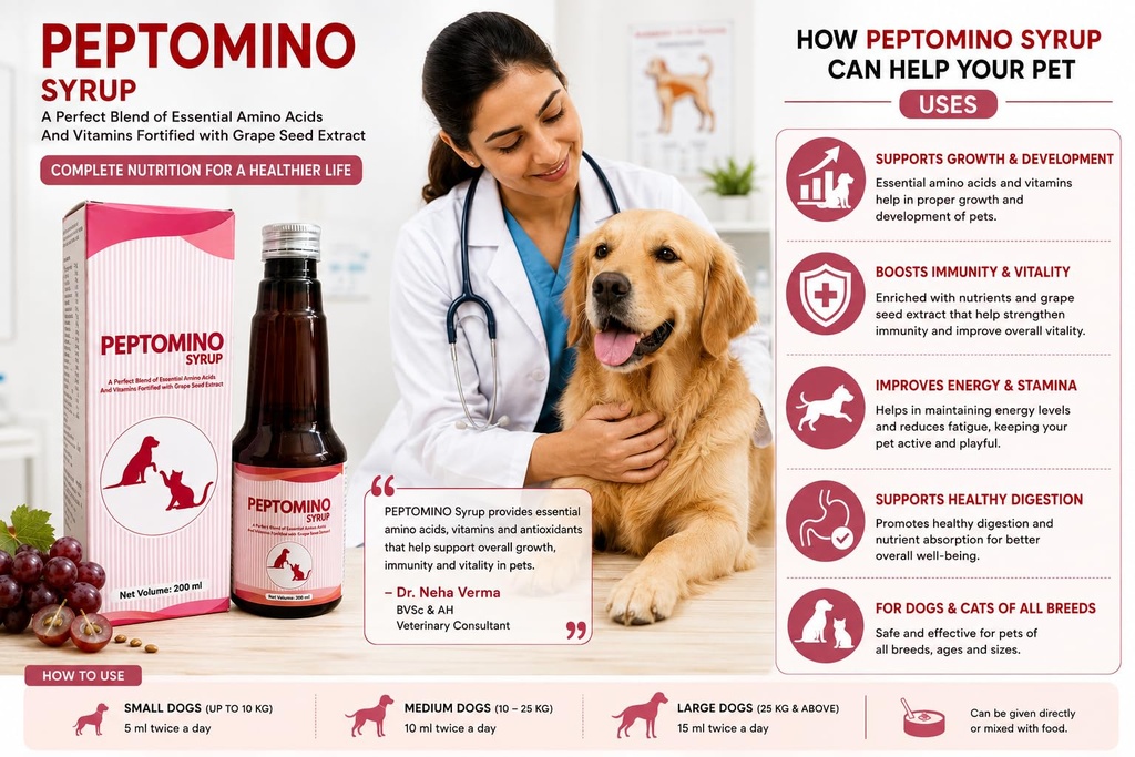 peptomino-syrup-amino-acids-vitamins-wit-718u9yGD-QL.jpg
