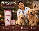 peptomino-syrup-amino-acids-vitamins-wit-71dIqjy5UjL.jpg
