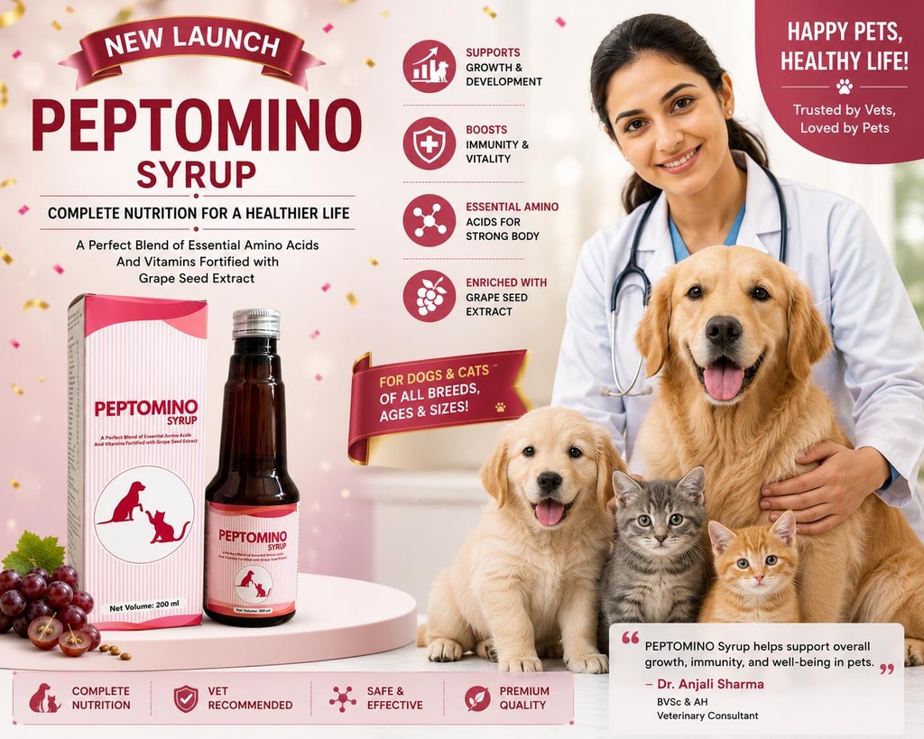 peptomino-syrup-amino-acids-vitamins-wit-71nJSbTWZ6L.jpg