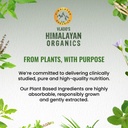 vlado-s-himalayan-organics-l-taurine-500-71TJI5IEB9L.jpg
