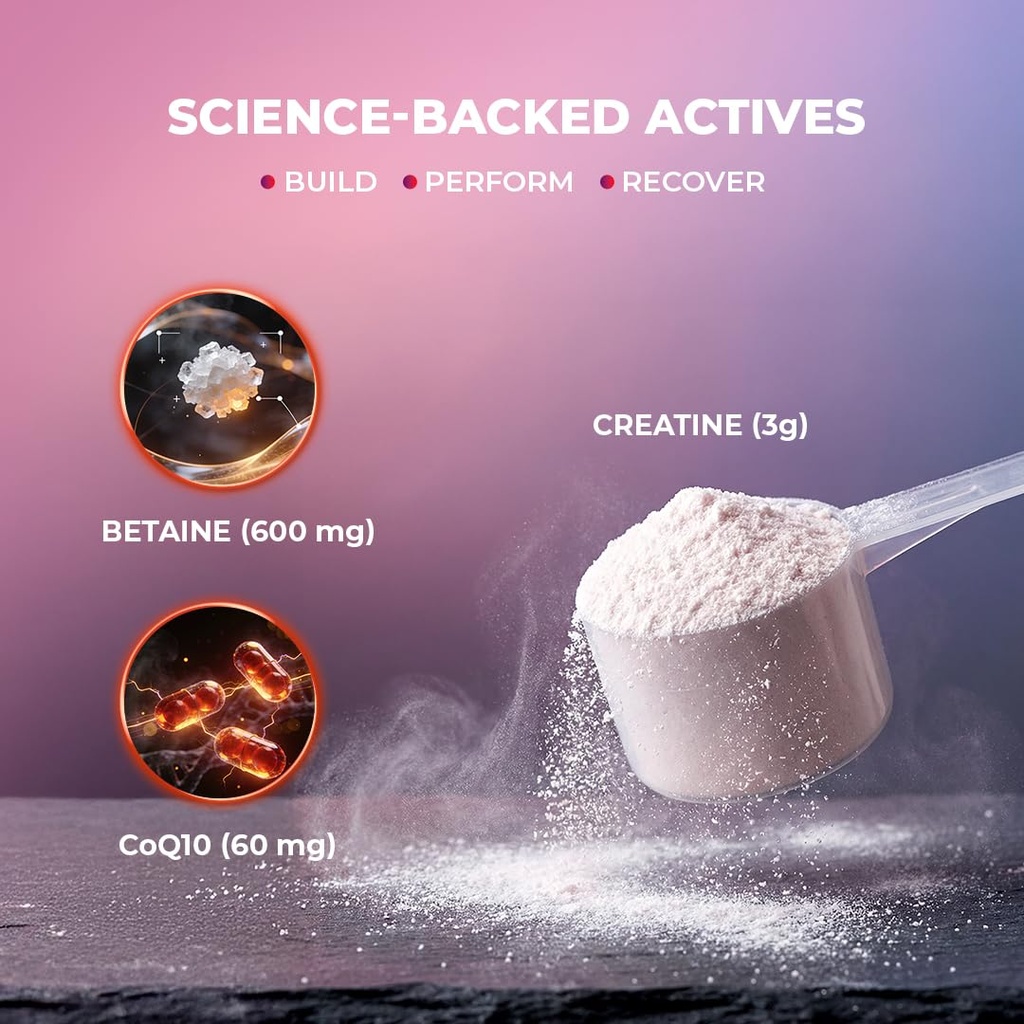 wow-life-science-micronized-creatine-mon-617tDQjQ6zL.jpg