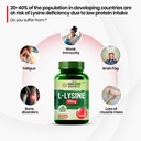 vlado-s-himalayan-organics-l-lysine-500m-61J4IvT+yeL.jpg