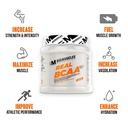 bigmuscles-nutrition-essential-whey-prot-61uopMMZXFL.jpg