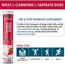 naturyz-l-carnitine-l-tartrate-2400-mg-c-71ciJh6IuRL.jpg