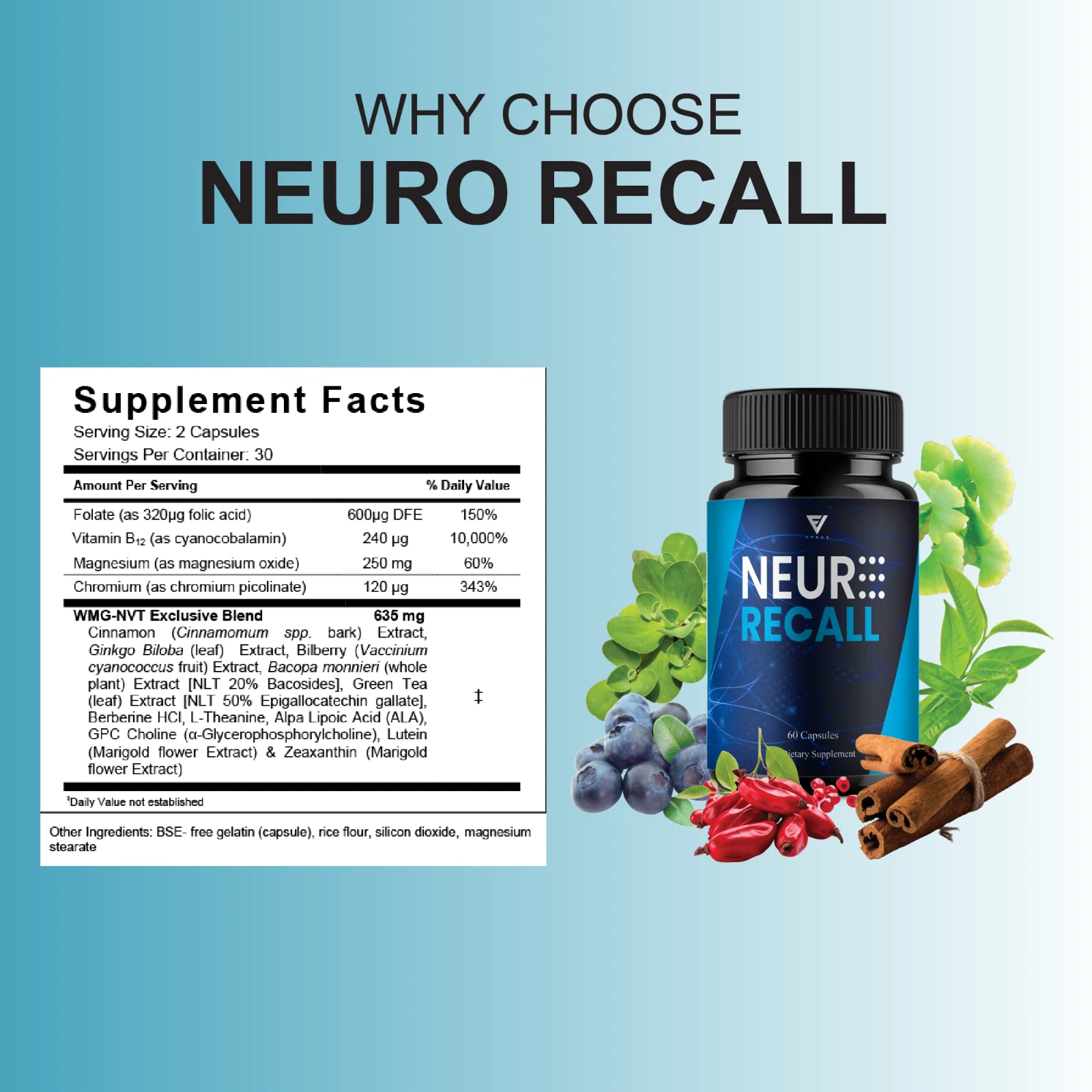 5-pack-neuro-recall-memory-supplement-ne-3.jpg