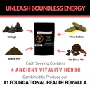 phoenix-rejuvenation-formula---lost-empi-4.jpg