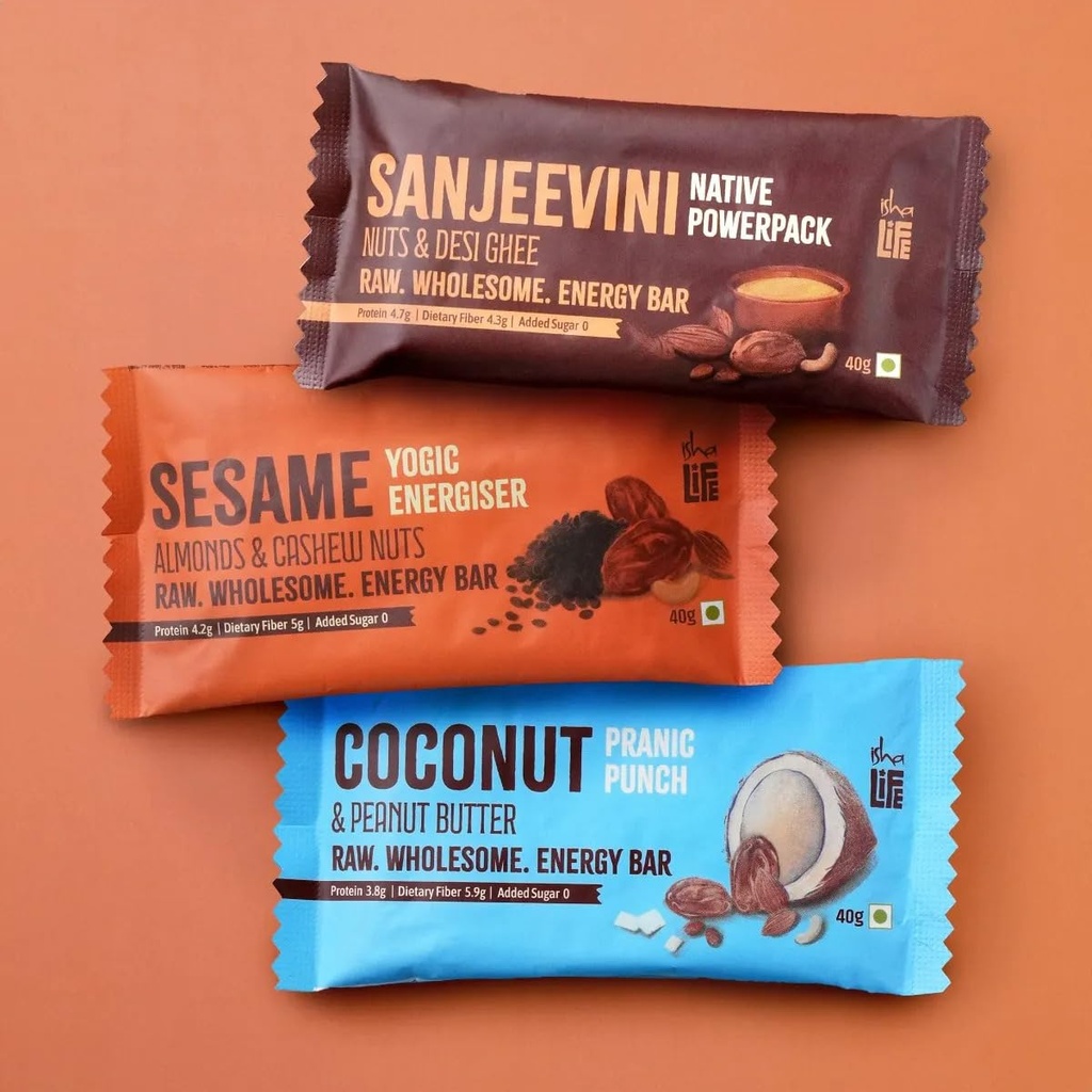 isha-life-raw-wholesome-energy-bars-40-g-61XDu9eXtRL.jpg