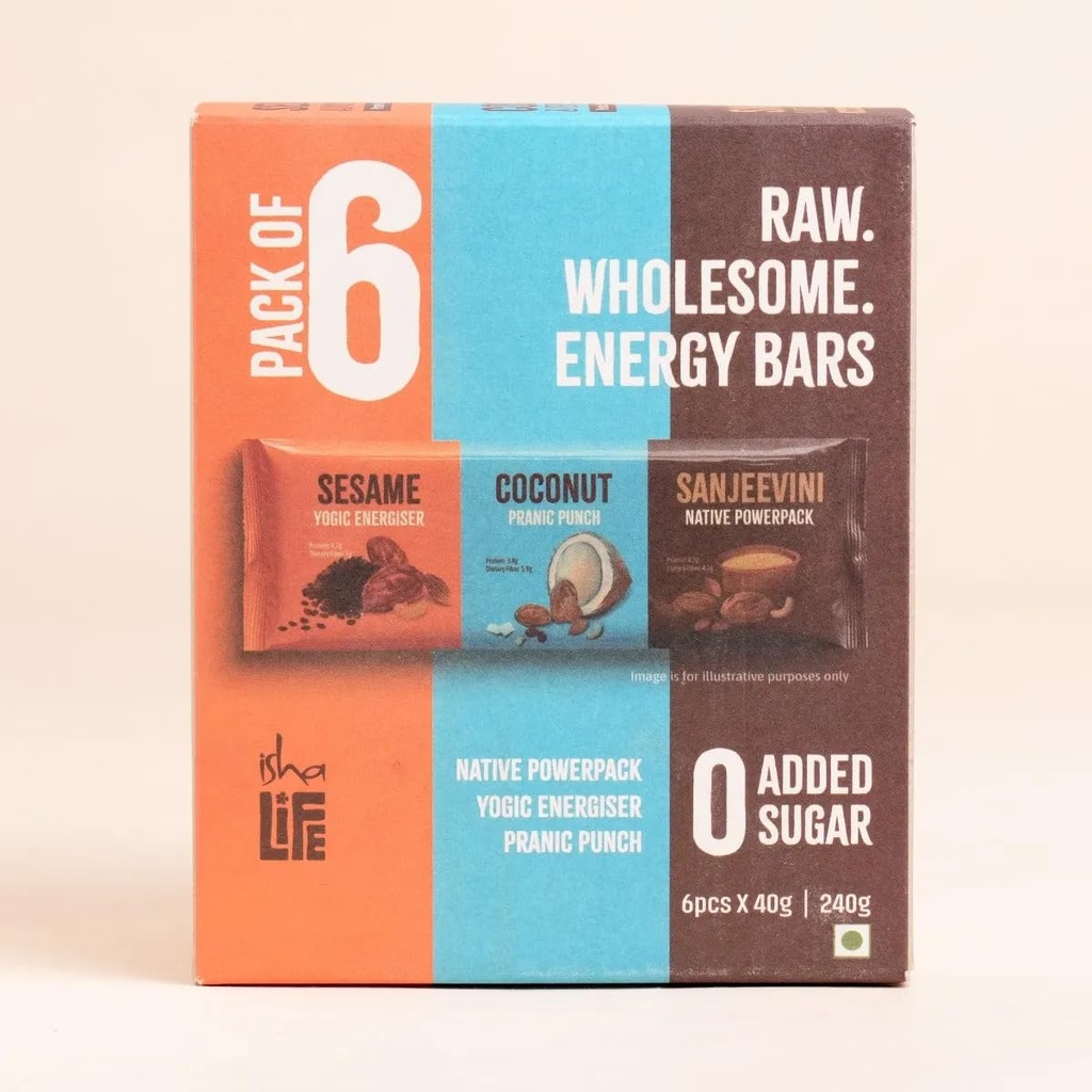 isha-life-raw-wholesome-energy-bars-40-g-61UcUdWusyL.jpg