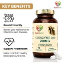 coenzyme-q10-ubiquinol-200mg-enhanced-en-61erNrz8vgL.jpg