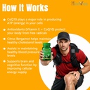 coenzyme-q10-coq10-600mg-supplement-with-81Rl5H-U6FL.jpg