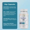 can-reset-strength-cell-immunity-booster-71uwEDj4o7L.jpg
