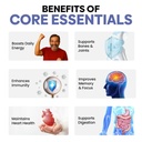 muditam-ayurveda-core-essentials-60-tabl-61HDZ-EB0ZL.jpg