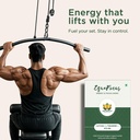 equafocus-clean-energy-focus-mints-10-ch-81rBcgGNTAL.jpg