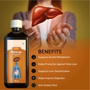 mexmy-maharaja-shahi-sharbat-liver-detox-7108OnV8slL.jpg
