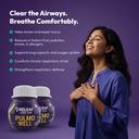 releaf-pulmo-well-ayurvedic-respiratory--71ecIS+CMCL.jpg
