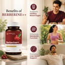 sugar-fit-berberine-supplements-1000mg-l-61IG+LEVuzL.jpg