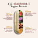 sugar-fit-berberine-supplements-1000mg-l-81UZrgjx+ML.jpg