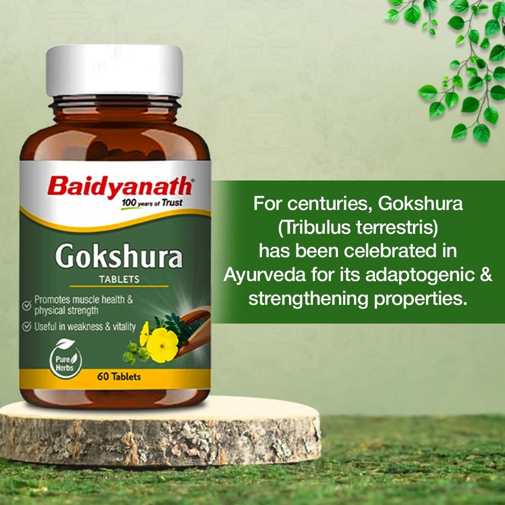 baidyanath-ayurved-gokshura-60-tablets-s-61nxm1r-YzL.jpg