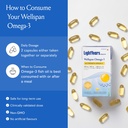 lightyears-wellspan-omega-3-fish-oil-cap-81JLyYbmYaL.jpg