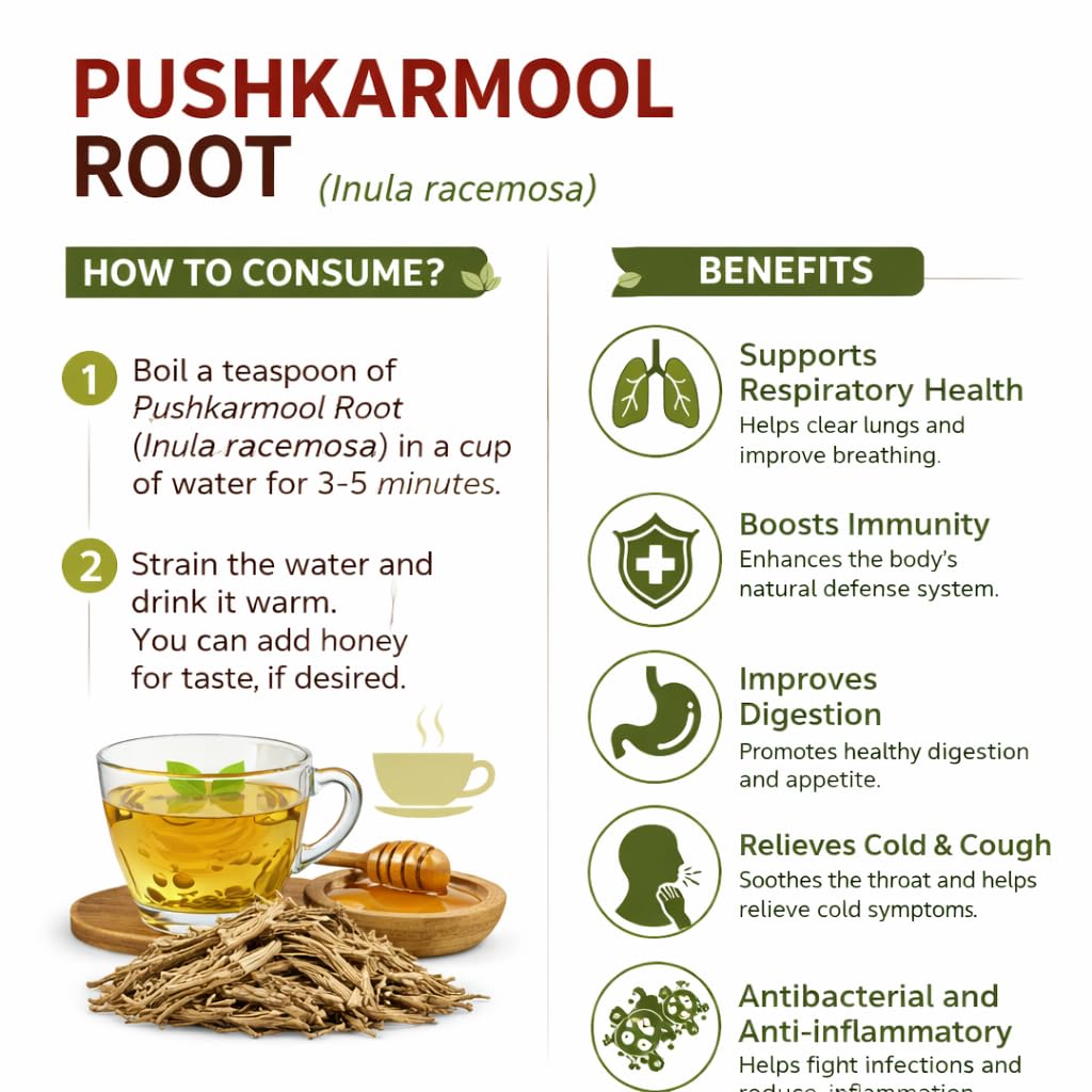 pushkarmool-root-whole-inula-racemosa-pu-61gkw8VP6hL.jpg