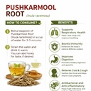 pushkarmool-root-whole-inula-racemosa-pu-61gkw8VP6hL.jpg