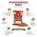 pushkarmool-root-whole-inula-racemosa-pu-61VgSkRHTzL.jpg