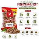 pushkarmool-root-whole-inula-racemosa-pu-71B0LiBSQ6L.jpg